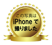 iPhoneで商品撮影